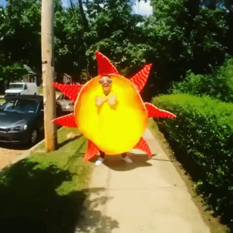 Sun Friday Feeling GIF - Find & Share on GIPHY