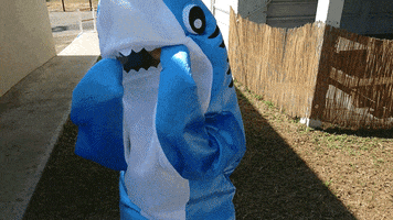 shirakazulanoy happy funny dancing shark GIF