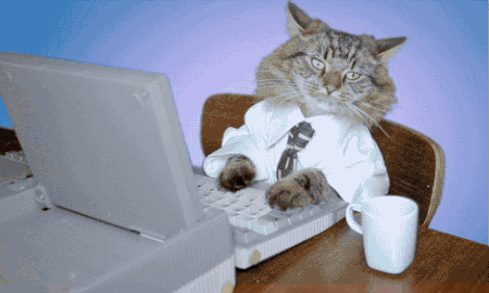 Business-cat GIFs - Get the best GIF on GIPHY