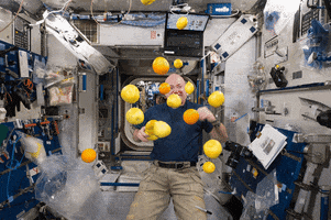 lorenzofaccialibro  GIF