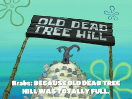 200.gif?cid=fc005b080545822090a22c04f76147adfd4985ce08f35dd2&rid=200.gif&ct=g