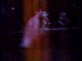 the smell vhs GIF by Royal Smith
