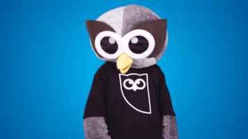swag celebrate GIF by Hootsuite