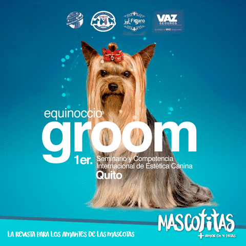 revistamascotitas  GIF