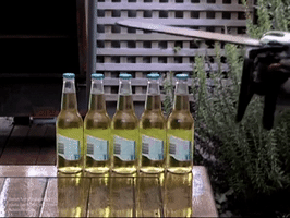 dejavuhu  GIF