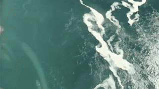 GJEPgifs gross niagara falls sewage black water GIF