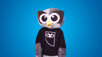 look point GIF by Hootsuite