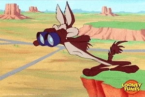 Looney Toons' Wiley Coyote searching a landscape with binoculars