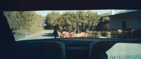 200.gif?cid=fc005b08f86f3b344f506e81e6a33ab635ebd9fa26ffd909&rid=200.gif&ct=g
