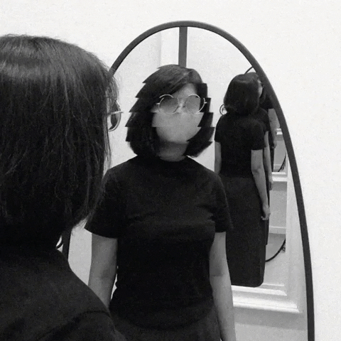 akaidaia black and white mirror noise illusion GIF