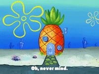 200w.gif?cid=82a1493biq77e87sy0yjtodfy3m