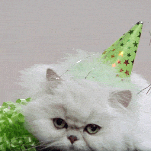 zumba  GIF