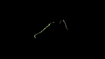 vanderlanthgmailcom  GIF