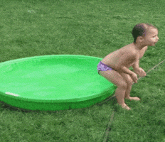 Funny Videos GIFs - Get the best GIF on GIPHY