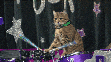 stephen colbert GIF by The Late Show With Stephen Colbert