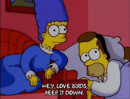 Keep It Down Season 3 GIF by The Simpsons