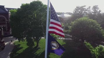 american flag america GIF by University of New Hampshire