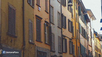 lukaszdybalski  GIF