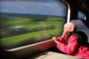 andrevaz train window voyage trem GIF
