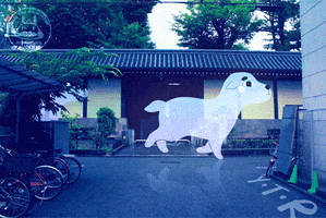Japan Run GIF by Yoyo The Ricecorpse