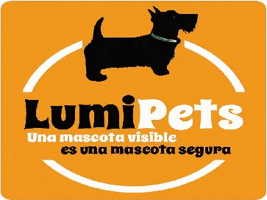 LumiPetsCL led collar lumipets collar led GIF
