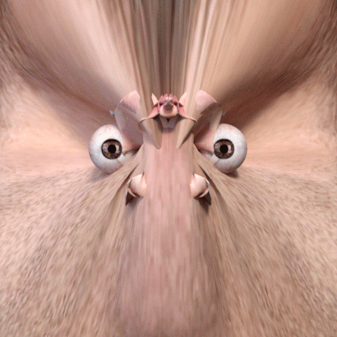 3D Lol GIF by Joel Cares