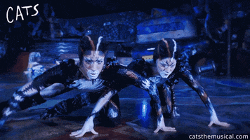 Look Up GIF by Cats the Musical