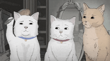 season 1 cats GIF by Animals