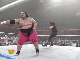 the undertaker yokozuna GIF by WWE