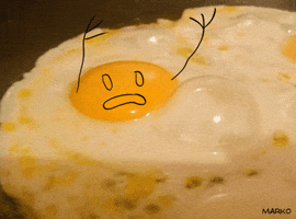 fried egg GIF by marko