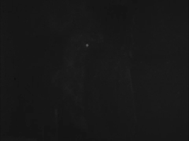 Kisses Sweeter Than Wine ÃYvind Fahlstrã¶M GIF