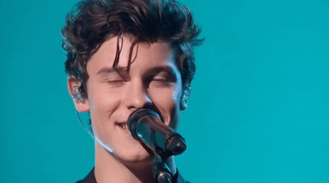 shawnmendes