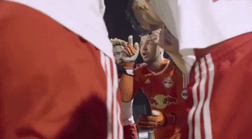playoffs cheering GIF by NYRB II