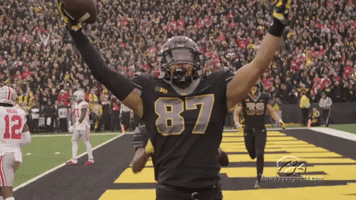 University Of Iowa Hawks GIF by University of Iowa Hawkeyes Athletics
