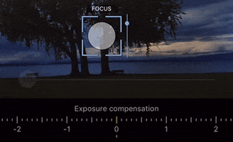 chemasanmoran procamera GIF