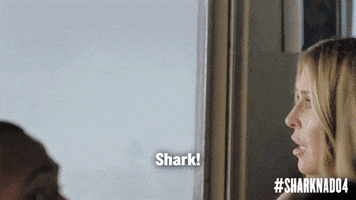Shark Attack Nfl GIF by SYFY