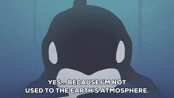 killer whale earth GIF by South Park 