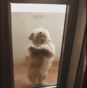 karinalm  GIF