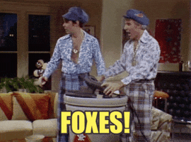 steve martin foxes GIF by Saturday Night Live