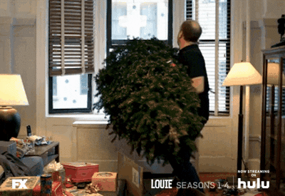Life With Louie Christmas GIF - Life With Louie Christmas