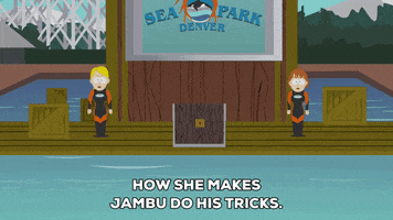excited swim GIF by South Park 