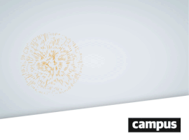 campus campus GIF