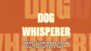 flashing dog whisperer GIF by South Park 