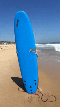 surfboard beyonce gif