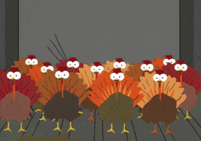 turkeys GIF by South Park 