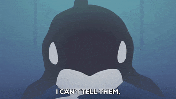 killer whale water GIF by South Park 