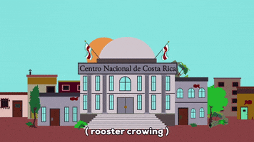 costa rica rooster GIF by South Park 