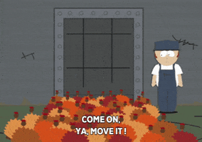 Turkey Ordering GIF by South Park