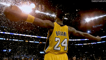 Los Angeles Lakers Basketball GIF