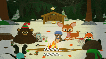 surprised campfire GIF by South Park 